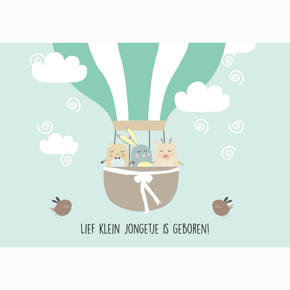 Geboorte Lief klein jongetje is geboren