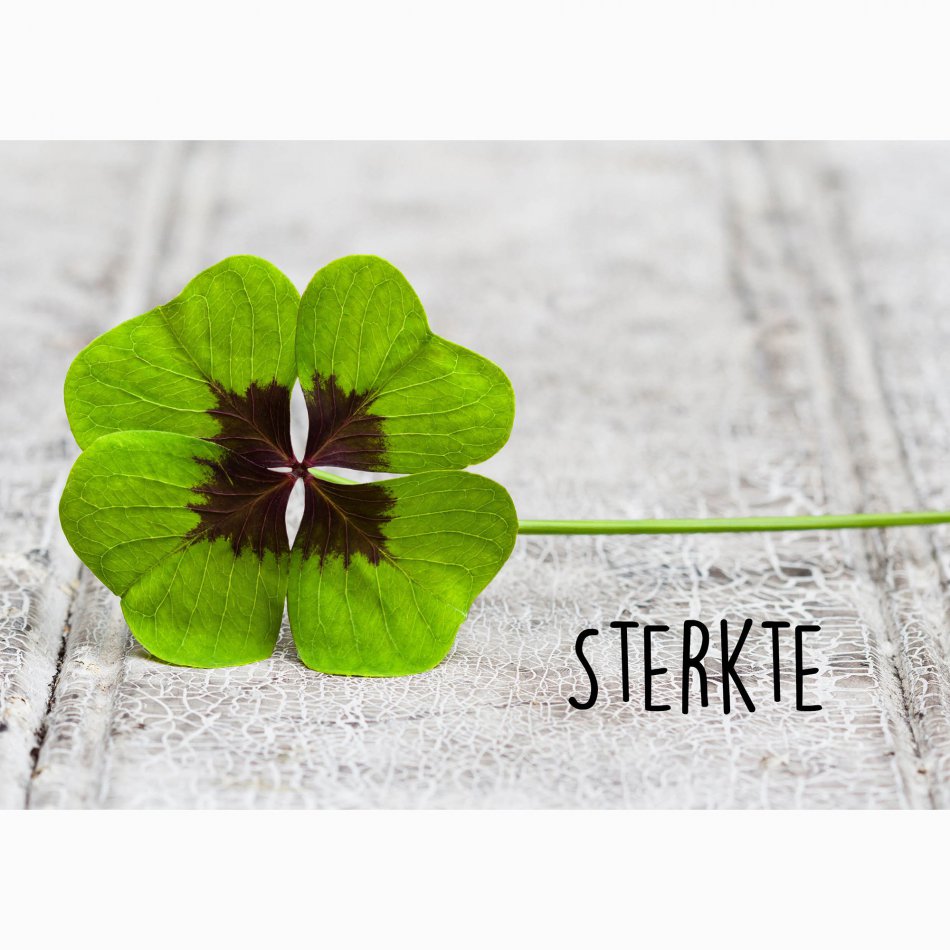 Beterschap Sterkte - klavertje vier