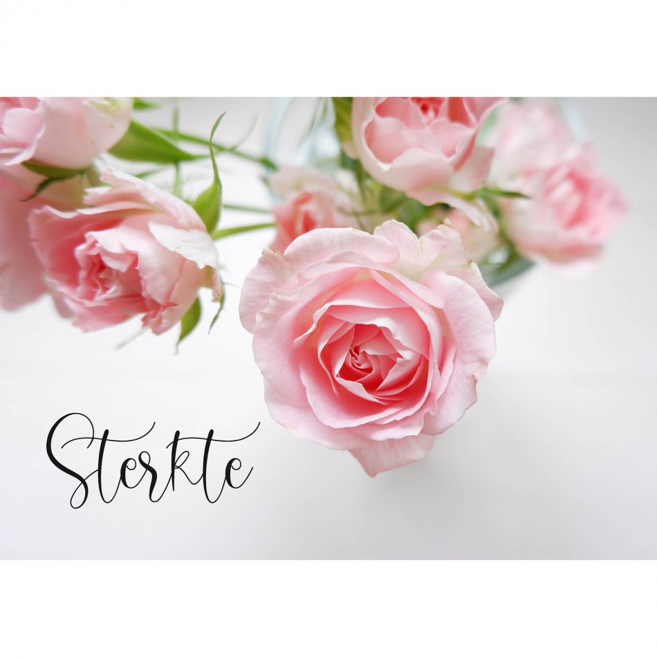 Kaart Condoleance Rose