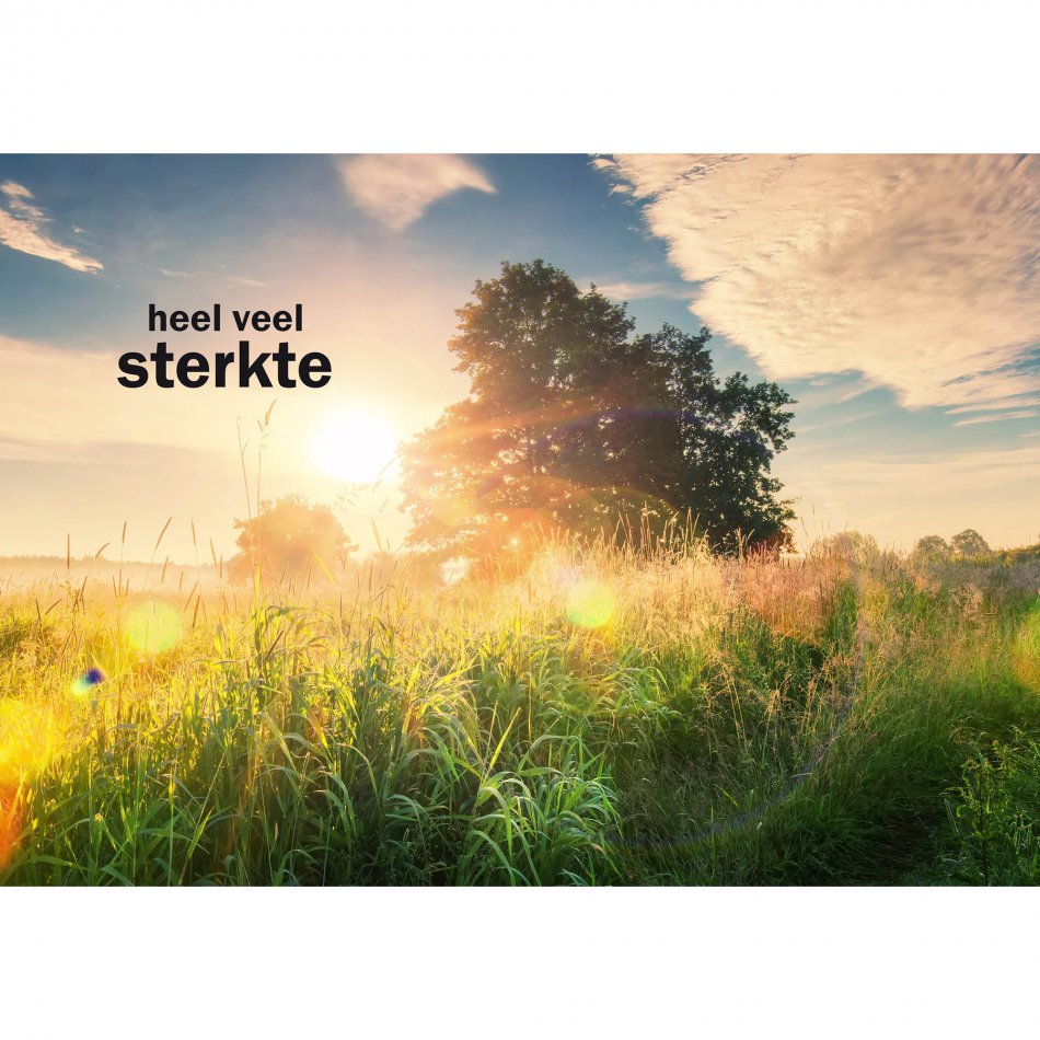 Kaart Condoleance Sun rays