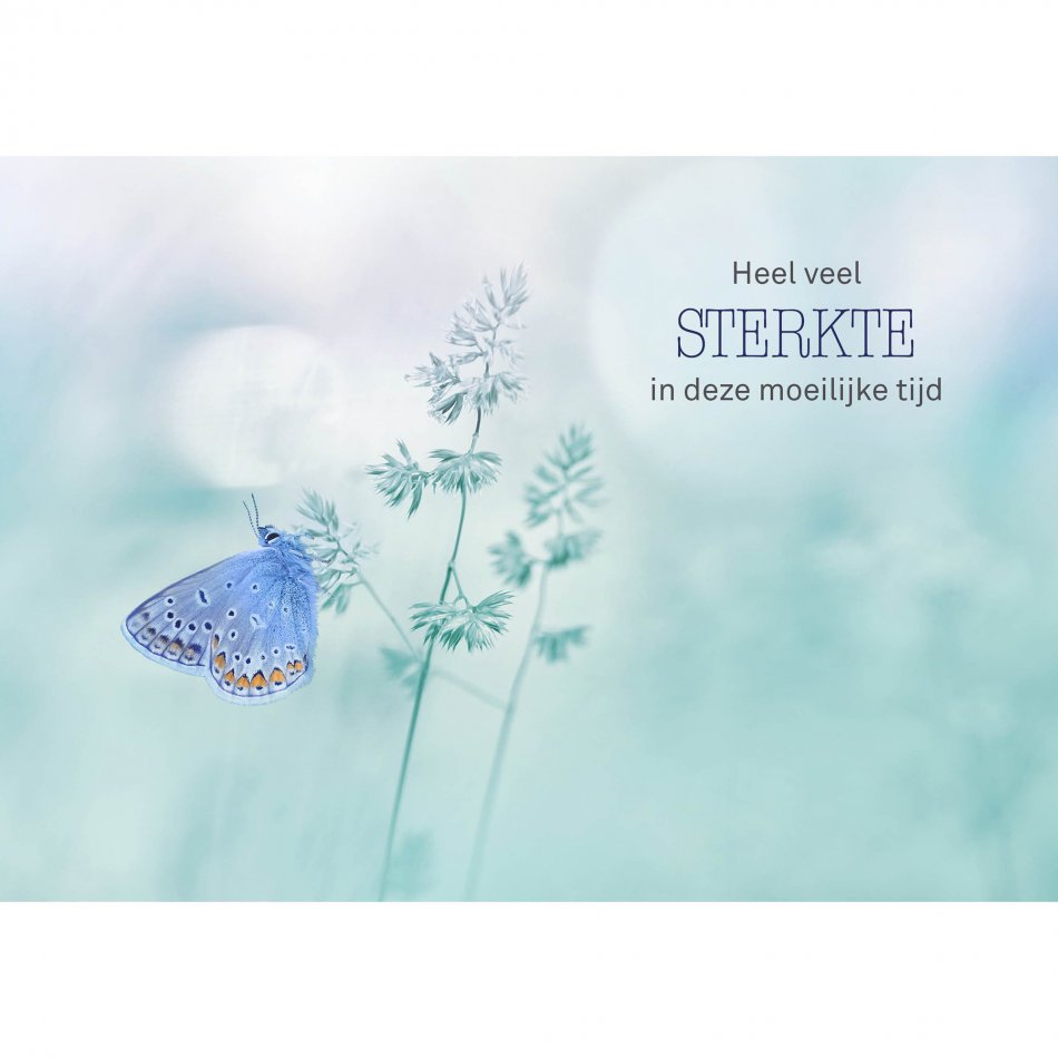 Kaart Condoleance Butterfly blue