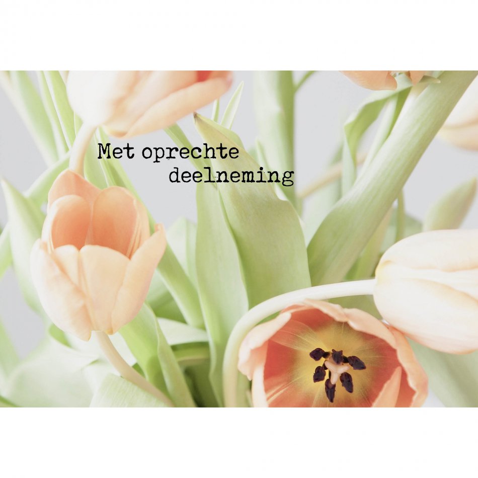 Kaart Condoleance Tulips