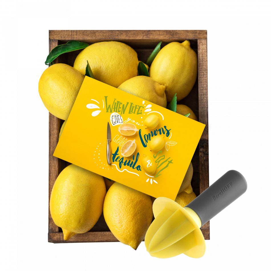 Lemons en handpers