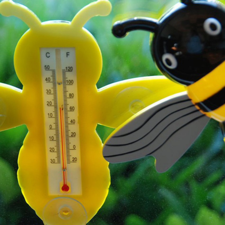 Thermometer bij
