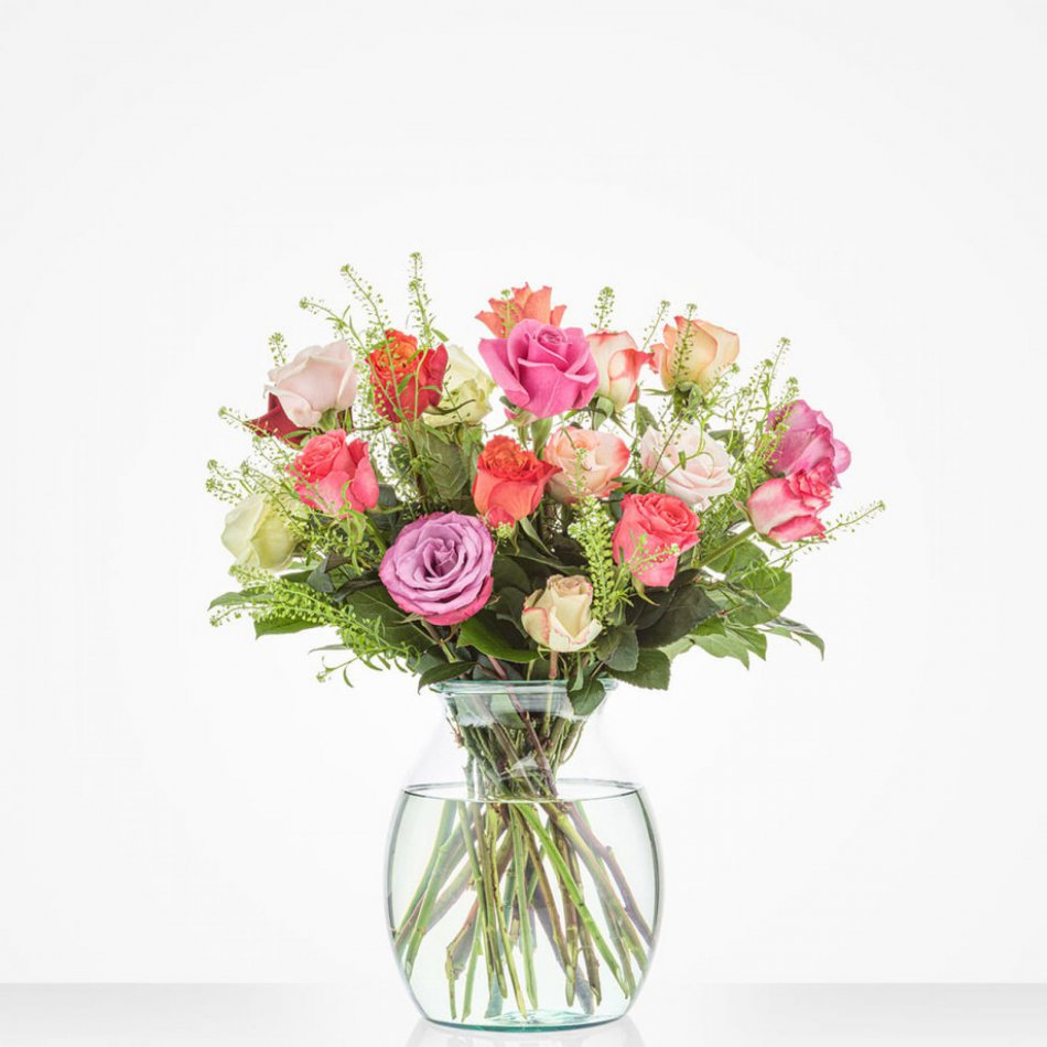 Kleurrijke rozen middel