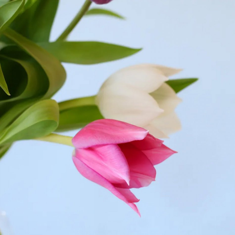 Brievenbus Tulpen Pastel