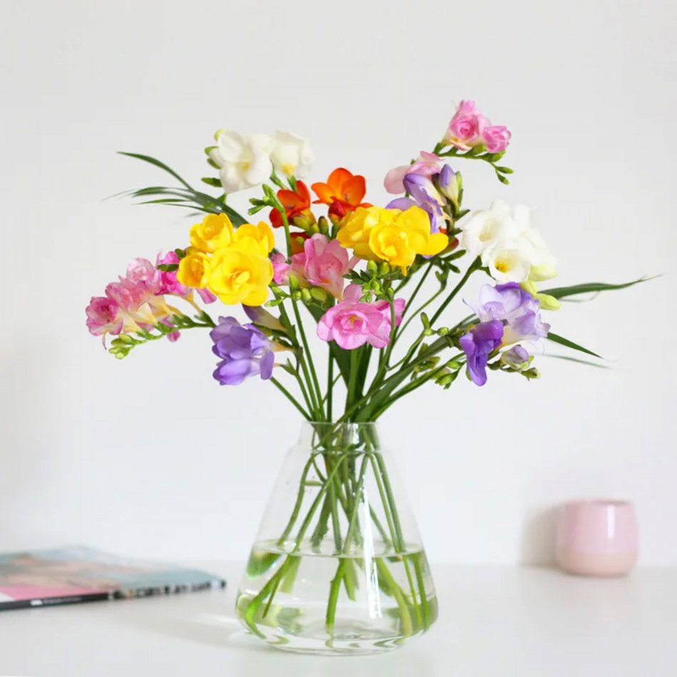 Happy Breeze Brievenbusbloemen